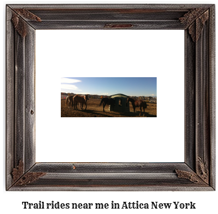 trail rides near me in Attica, New York